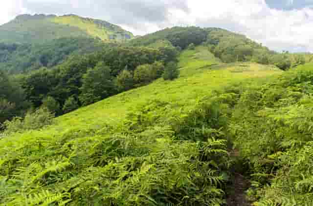 去监狱送衣服一定要日子吗