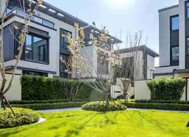 袖虎病猫攻略：两招搞定猫咪跳蚤