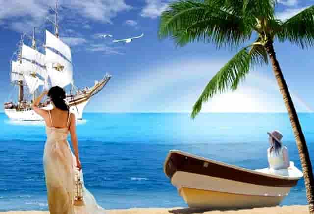 袖虎病猫攻略：猫剃毛有哪些坑