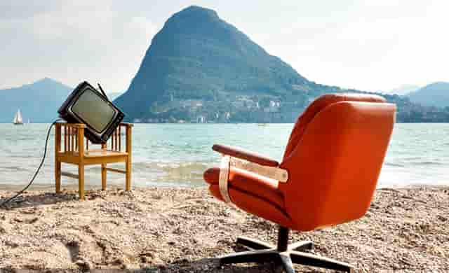 袖虎病狗攻略：如何预防犬细小